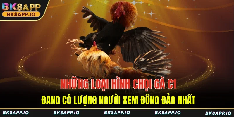 Những loại hình đá gà C1 đang có lượng người xem đông đảo nhất