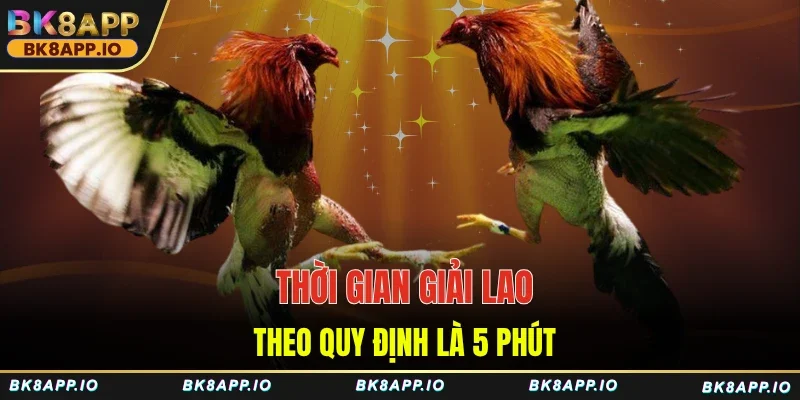 Thời gian giải lao theo quy định là 5 phút